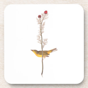 Audubon's Hooded Warbler Bird on Red Flower Coaster