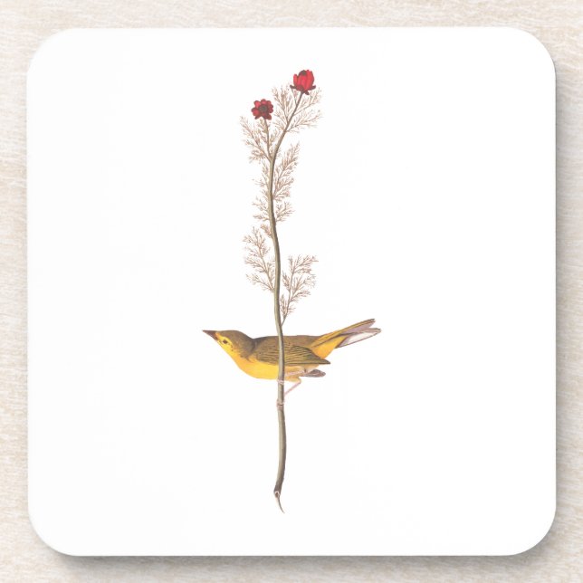 Audubon's Hooded Warbler Bird on Red Flower Coaster (Front)