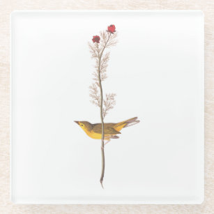 Audubon's Hooded Warbler Bird on Red Flower Glass Coaster