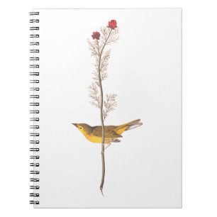 Audubon's Hooded Warbler Bird on Red Flower Notebook