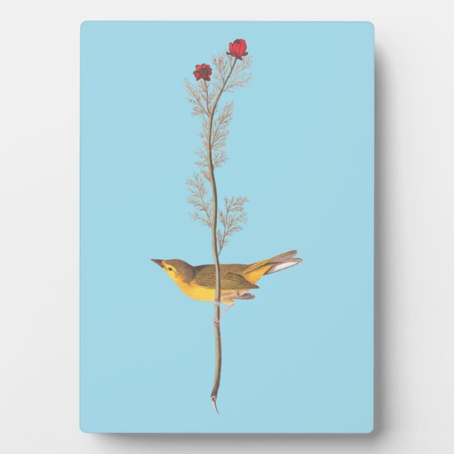 Audubon's Hooded Warbler Bird on Red Flower Plaque (Front)