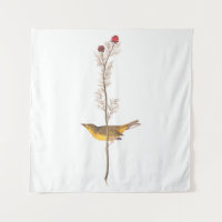 Audubon's Hooded Warbler Bird on Red Flower