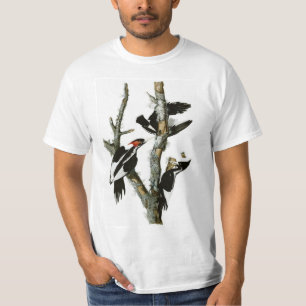 Audubon's Ivory-billed Woodpecker T-Shirt