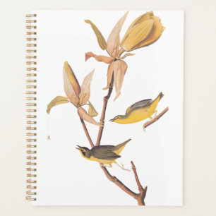 Audubon's Kentucky Warbler Bird Pair with a Spider Planner