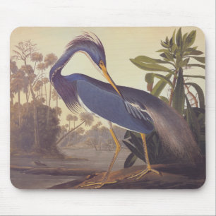 Audubon's Louisiana Heron or Tricolored Heron Mouse Pad