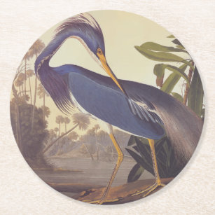 Audubon's Louisiana Heron or Tricolored Heron Round Paper Coaster