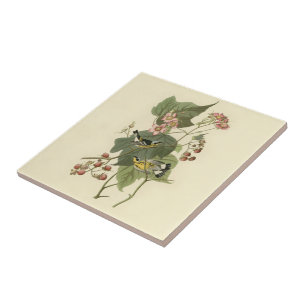 Audubon's Magnolia Warbler Ceramic Tile