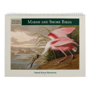 Audubon's Marsh and Shore Birds 2025 Calendar