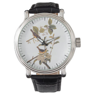 Audubon's Maryland Yellowthroat Birds with Flowers Watch