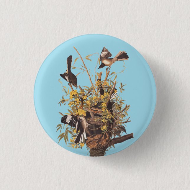 Audubon's Mockingbirds vs Rattlesnake 3 Cm Round Badge (Front)