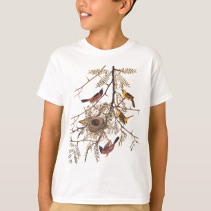 Audubon's Orchard Oriole Bird in Honey Locust Tree T-Shirt