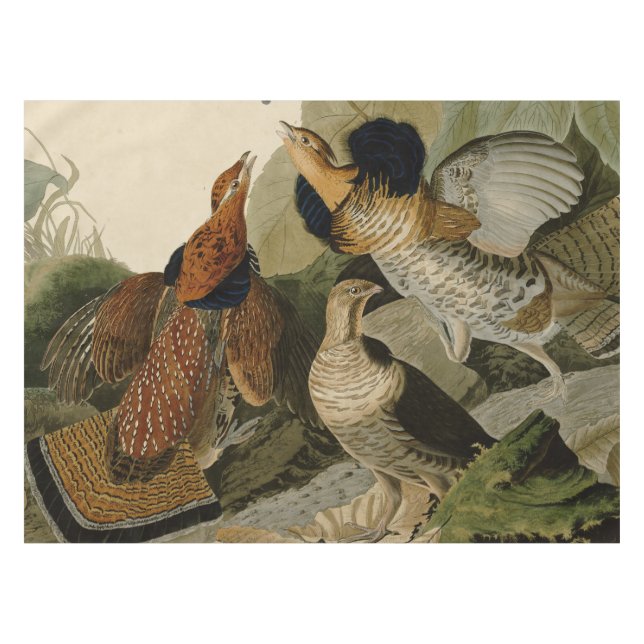 Audubon's Painting of a trio of Ruffed Grouse Tablecloth (Front (Horizontal))