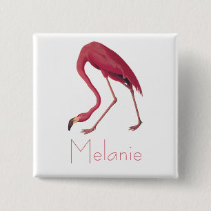 Audubon's Pink Flamingo Vintage Birds of America 15 Cm Square Badge