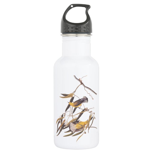 Audubon's Prothonotary Warbler Birds on Cane Vine 532 Ml Water Bottle (Front)