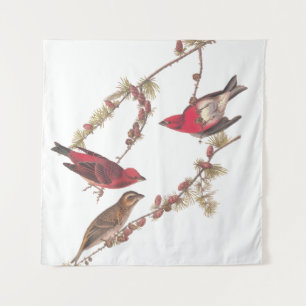 Audubon's Purple Finch Three Red Birds in Winter Tapestry