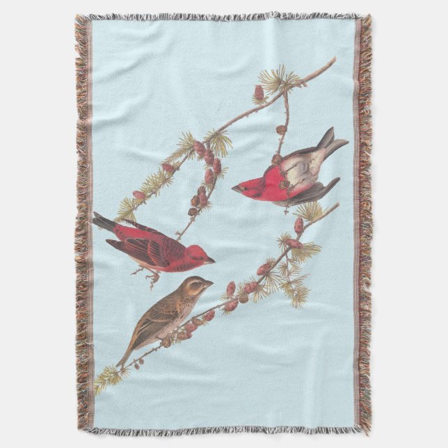 Audubon's Purple Finch Three Red Birds in Winter Throw Blanket (Front Vertical)