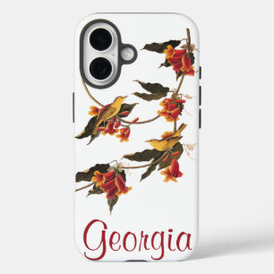 Audubon's Rathbone's Warbler Birds on Crossvine iPhone 16 Case