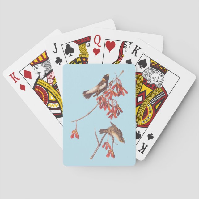Audubon's Rice Bunting Birds or Bobolink Birds Playing Cards (Back)