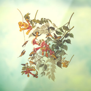 Audubon's Ruby Throated Hummingbirds and Flowers