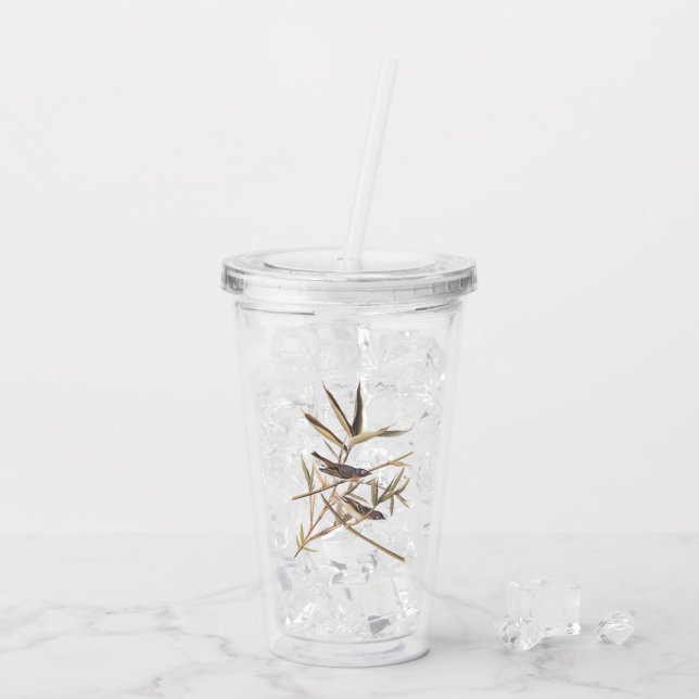 Audubon's Solitary Vireo Flycatcher Birds on Cane Acrylic Tumbler (Back Ice)