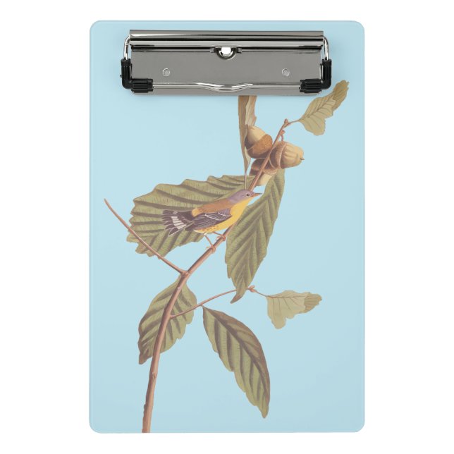 Audubon's Swainson's Warbler on Oak Branch Mini Clipboard (Front)