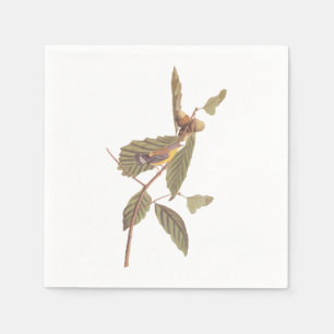 Audubon's Swainson's Warbler on Oak Branch Napkin