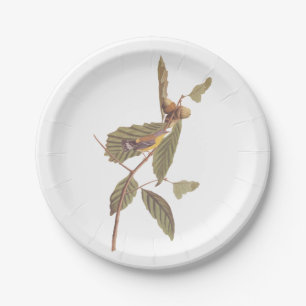 Audubon's Swainson's Warbler on Oak Branch Paper Plate