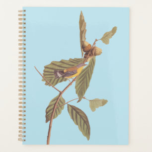 Audubon's Swainson's Warbler on Oak Branch Planner