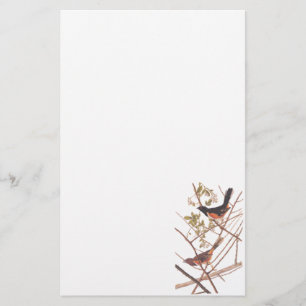 Audubon's Towee Bunting Stationery