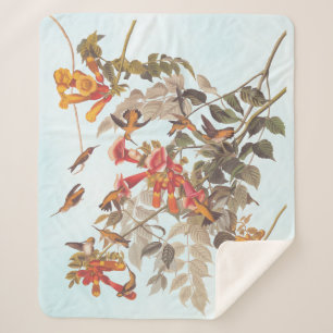 Audubon's Tropical Ruby Throated Hummingbirds Sherpa Blanket