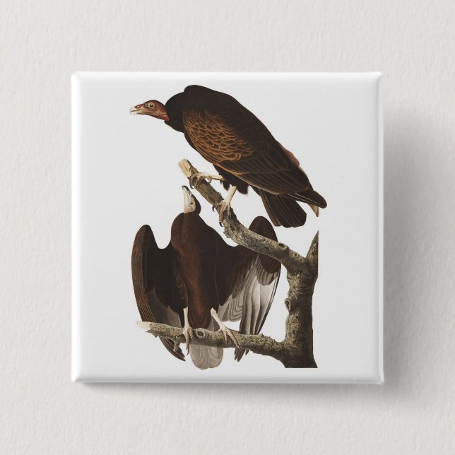 Audubon's Turkey Vulture 15 Cm Square Badge (Front)