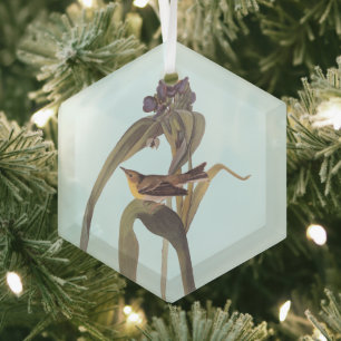 Audubon's Vigour's Vireo Songbird Glass Tree Decoration