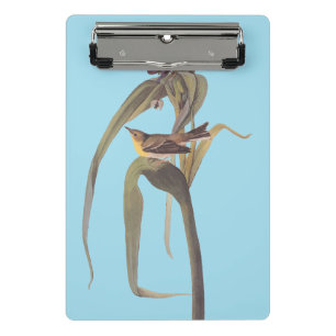Audubon's Vigour's Vireo Songbird Mini Clipboard
