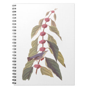 Audubon's Vintage Blue Green Warbler Song Bird Notebook