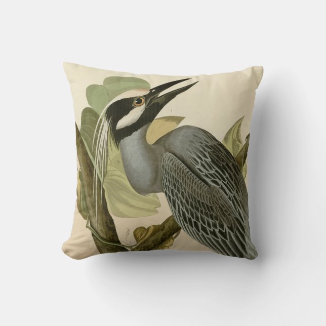 Audubon's Vintage Yellow crowned night heron paint Cushion (Front)