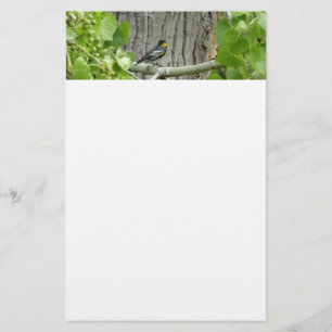 Audubon's Warbler Nature Photography Stationery