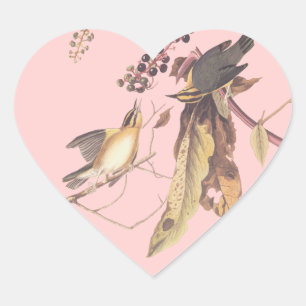 Audubon's Worm Eating Warbler Heart Sticker