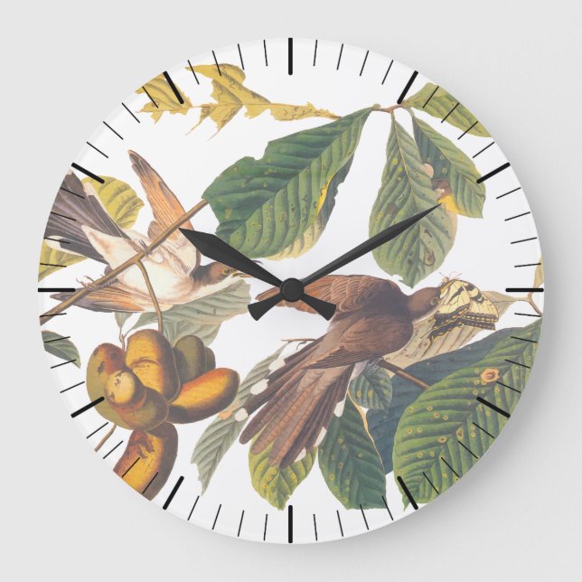 Audubon's Yellow-Billed Cuckoo Birds in Fruit Tree Large Clock (Front)