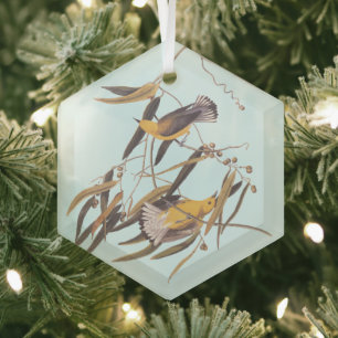 Audubon's Yellow Prothonotary Warbler Bird Glass Tree Decoration