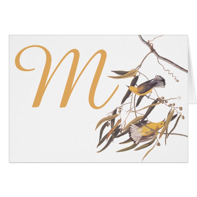 Audubon's Yellow Prothonotary Warbler Birds (Front Horizontal)