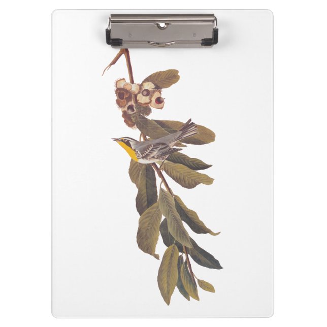 Audubon's Yellowthroat Warbler Bird on Tree Branch Clipboard (Front)