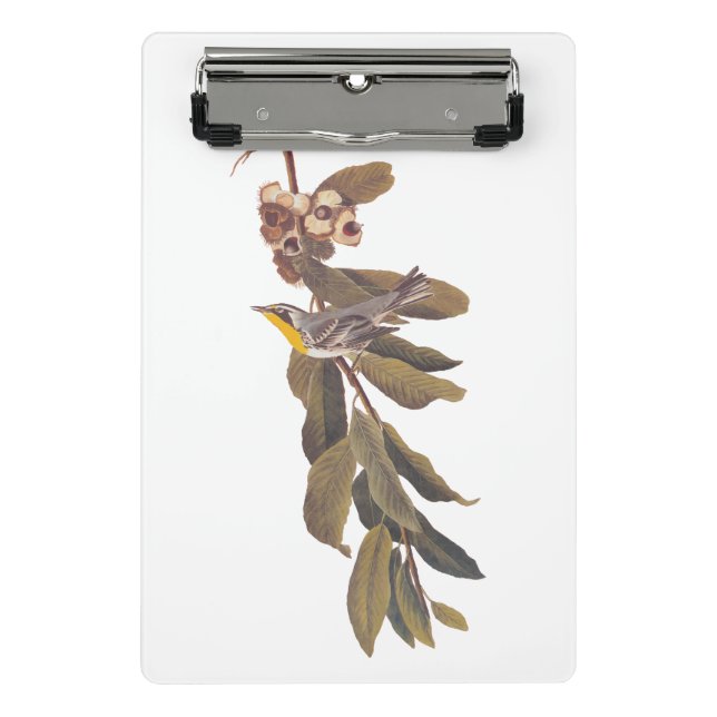 Audubon's Yellowthroat Warbler Bird on Tree Branch Mini Clipboard (Front)