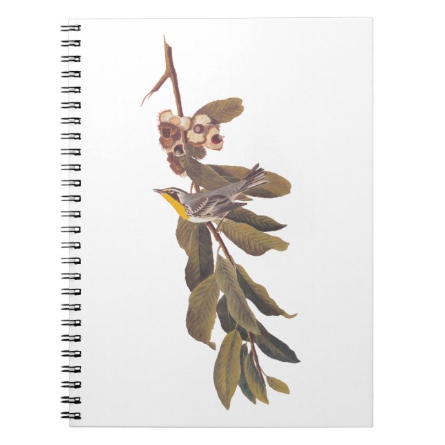 Audubon's Yellowthroat Warbler Bird on Tree Branch Notebook (Front)