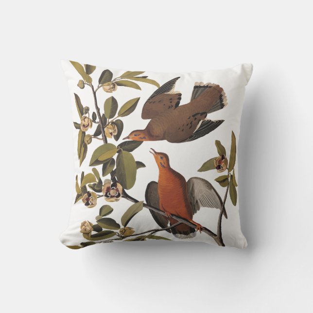 Audubon's Zenaida Dove Birds on Tree Branch Cushion (Front)