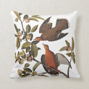 Audubon's Zenaida Dove Birds on Tree Branch Cushion