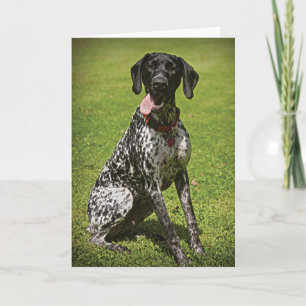 Augie thank you card