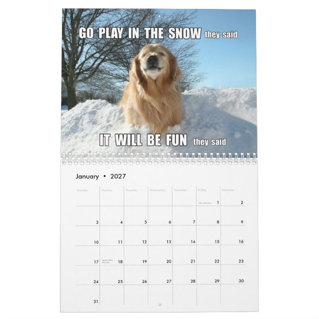 Augie & Ti's Jokes and Memes 2015 Golden Retriever Calendar (Jan 2027)