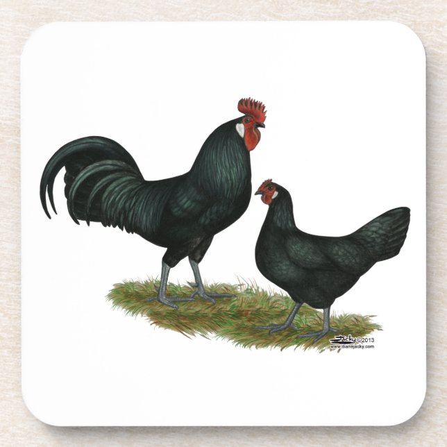 Augsberger Chickens Coaster (Front)
