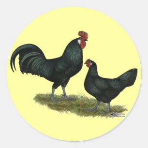 Augsburger Chickens Classic Round Sticker