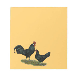 Augsburger Chickens Notepad
